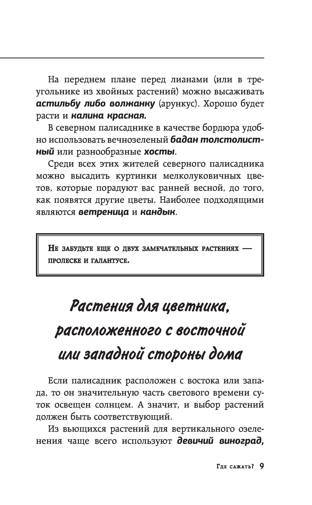 Цветник, который растет сам по себе Галина Кизима - купить книгу Цветник,  который растет сам по себе в Минске — Издательство АСТ на OZ.by