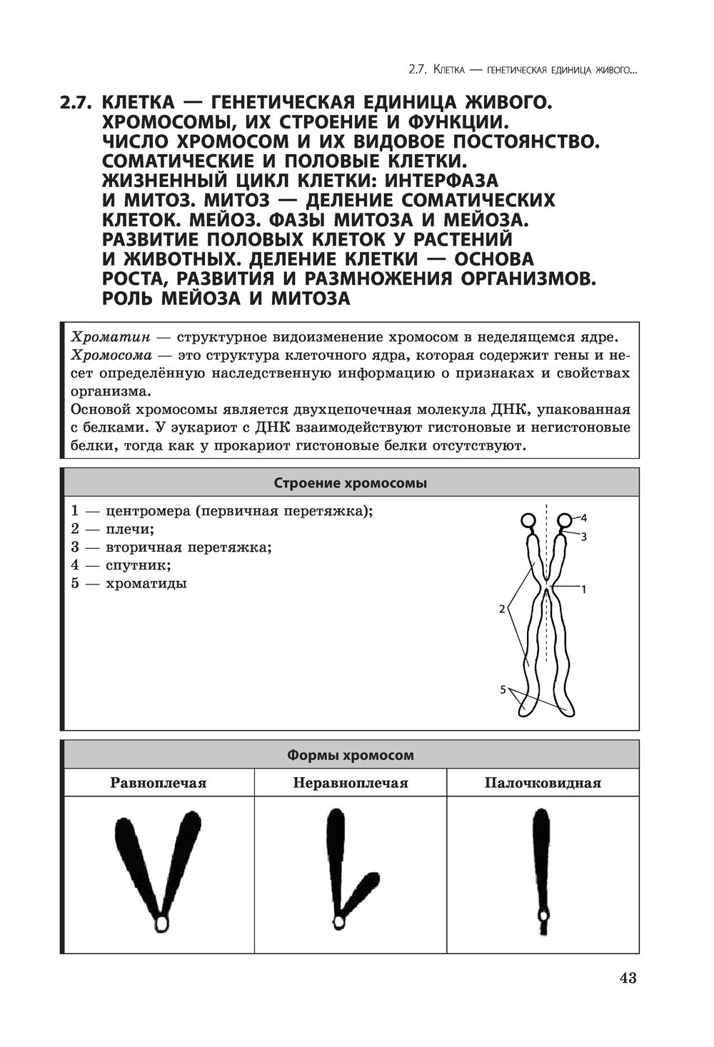 биология человека в таблицах и схемах резанова купить - купить по низкой цене на