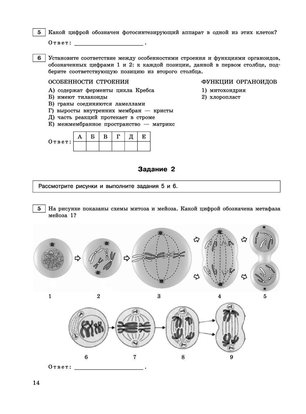 Рисунки егэ биология 2023