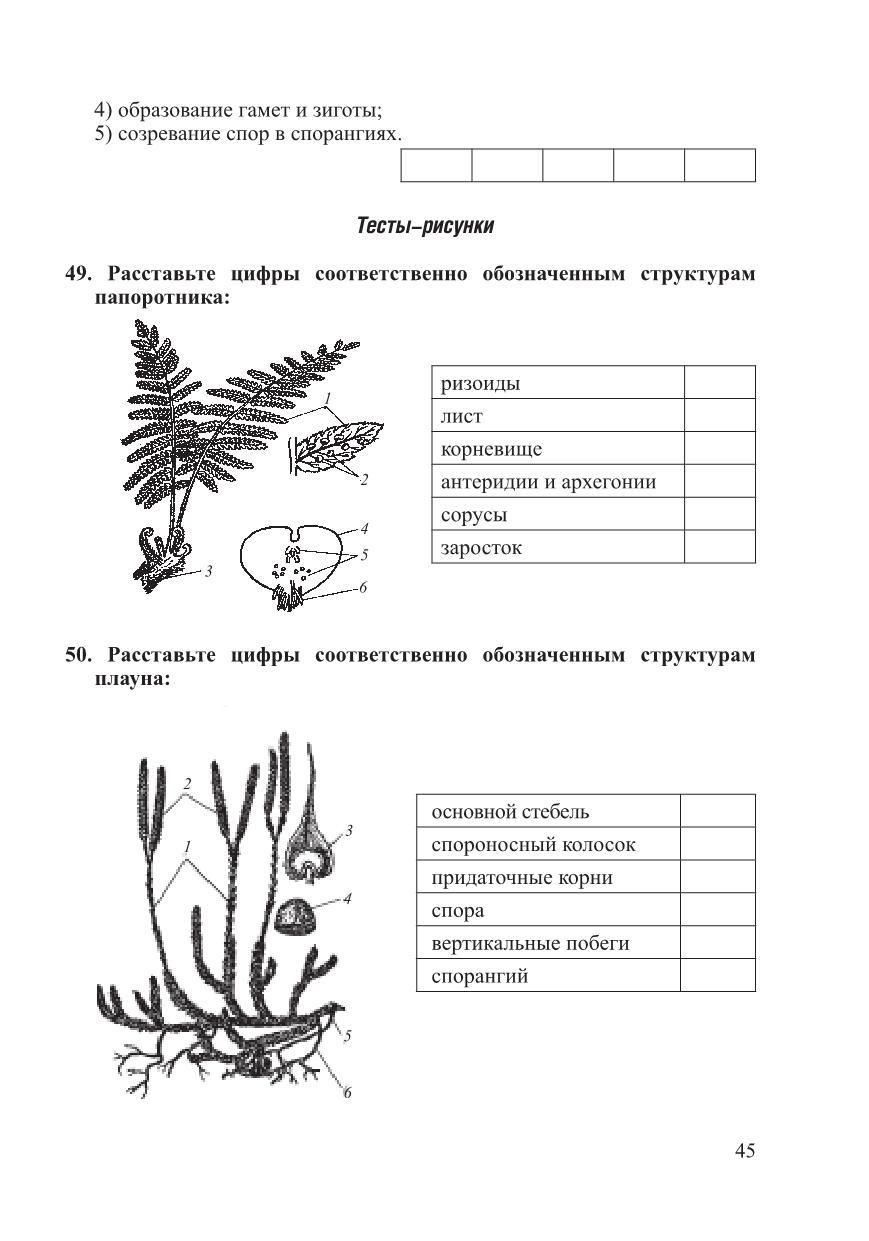 Задание по биологии. Задания по биологии. Биология задания. Задание по биологии растений. Задания по биологии с ответами.