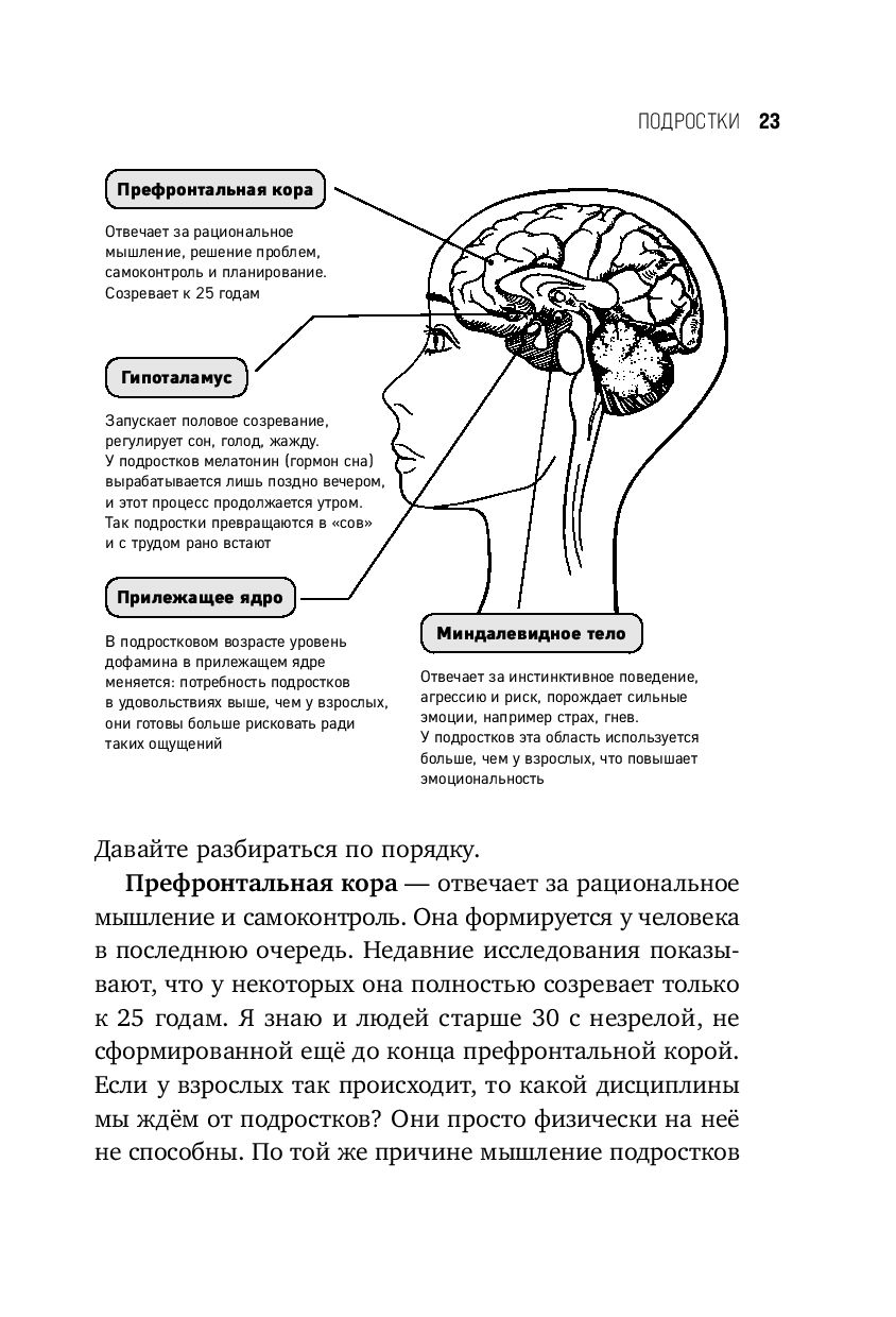 Это же подросток! Виктория Дмитриева - купить книгу Это же подросток! в  Минске — Издательство Бомбора на OZ.by