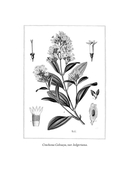 Происхождение всех вещей — фото, картинка — 3