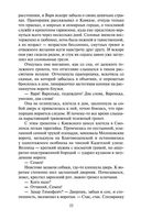 Господа волонтеры — фото, картинка — 21