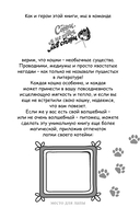 Котенок и кафе на краю океана — фото, картинка — 1