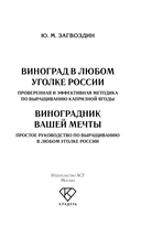 Виноградник вашей мечты. Простое руководство по выращиванию в любом уголке России — фото, картинка — 1