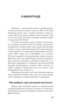 Виноградник вашей мечты. Простое руководство по выращиванию в любом уголке России — фото, картинка — 13