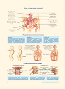 Анатомия человека. Популярный атлас. Самые подробные анатомические изображения — фото, картинка — 5