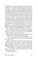 Салюты на той стороне — фото, картинка — 17