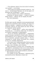 Салюты на той стороне — фото, картинка — 27