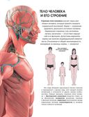 Популярный атлас анатомии человека — фото, картинка — 4