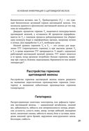 Тиреоидит Хашимото. Как понять глубинную причину заболевания и остановить разрушение щитовидной железы — фото, картинка — 25
