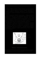 Тиреоидит Хашимото. Как понять глубинную причину заболевания и остановить разрушение щитовидной железы — фото, картинка — 27