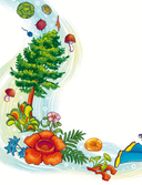 Растения и грибы. Детская энциклопедия — фото, картинка — 1