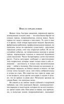 Капитаны песка — фото, картинка — 5