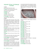 SWEETYгуруми. Игрушки крючком с теплом и любовью — фото, картинка — 13