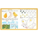 Учим цвета. Первые задания малышам — фото, картинка — 2