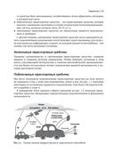 Автономные и подключенные автомобили. Устройство, стандарты и перспективы развития — фото, картинка — 19