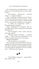 Пёс, который шёл по звёздам — фото, картинка — 18