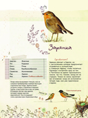 Лучший определитель птиц, насекомых, деревьев от Миранды — фото, картинка — 9