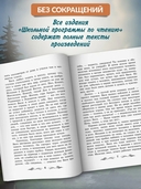 В прекрасном и яростном мире: рассказы — фото, картинка — 2