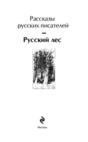 Русский лес. Рассказы русских писателей — фото, картинка — 2