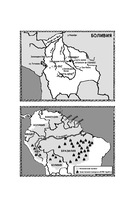 Годы с пумой. Как одна кошка изменила мою жизнь — фото, картинка — 8
