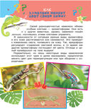 Почему, когда и где — фото, картинка — 4