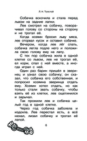 Большая собачья книга — фото, картинка — 5