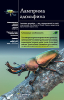 Насекомые. Иллюстрированный гид — фото, картинка — 12