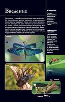 Насекомые. Иллюстрированный гид — фото, картинка — 3