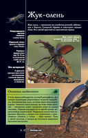 Насекомые. Иллюстрированный гид — фото, картинка — 8