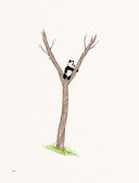 Далай-лама и большая панда. Прогулки по Земле — фото, картинка — 14