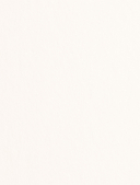 Далай-лама и большая панда. Прогулки по Земле — фото, картинка — 4