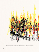 Далай-лама и большая панда. Прогулки по Земле — фото, картинка — 8