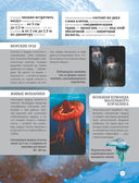 Всё о подводном мире — фото, картинка — 6