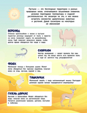 150 наклеек. В пустыне — фото, картинка — 2