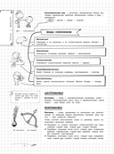 Русский язык — фото, картинка — 8
