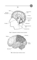 Тренировка мозга. Самоучитель — фото, картинка — 11