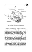Тренировка мозга. Самоучитель — фото, картинка — 15