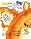 Космос — фото, картинка — 9