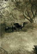 Монах и дочь палача — фото, картинка — 17