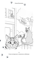 Вопросы о кошках — фото, картинка — 2