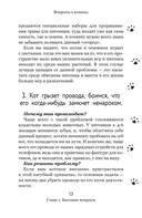 Вопросы о кошках — фото, картинка — 11