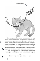 Вопросы о кошках — фото, картинка — 14