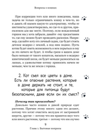 Вопросы о кошках — фото, картинка — 7