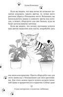 Вопросы о кошках — фото, картинка — 10