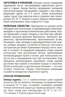 Лекарственные растения от А до Я — фото, картинка — 6