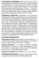 Лекарственные растения от А до Я — фото, картинка — 10