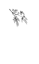 Следуй по пути из лепестков персика — фото, картинка — 1