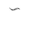 Зимнее солнце — фото, картинка — 1